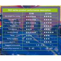 Rydanz 265/35R21 101YXL Revimax R53 GT200 - Thumbnail