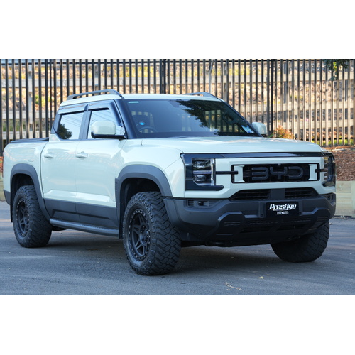 BYD Shark 6 Light Tinting Package - Dark Smoke Tint